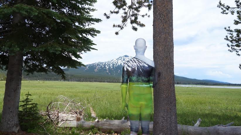 4 Body Painters Who Blend Humans Into Surroundings
