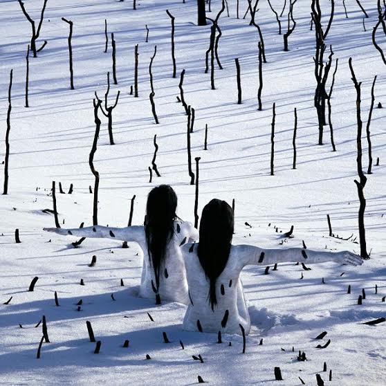 4 Body Painters Who Blend Humans Into Surroundings