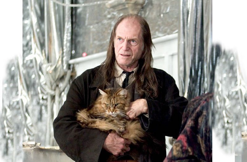 6 Great Actors Who Went from ‘Harry Potter’ to ‘Game of Thrones’