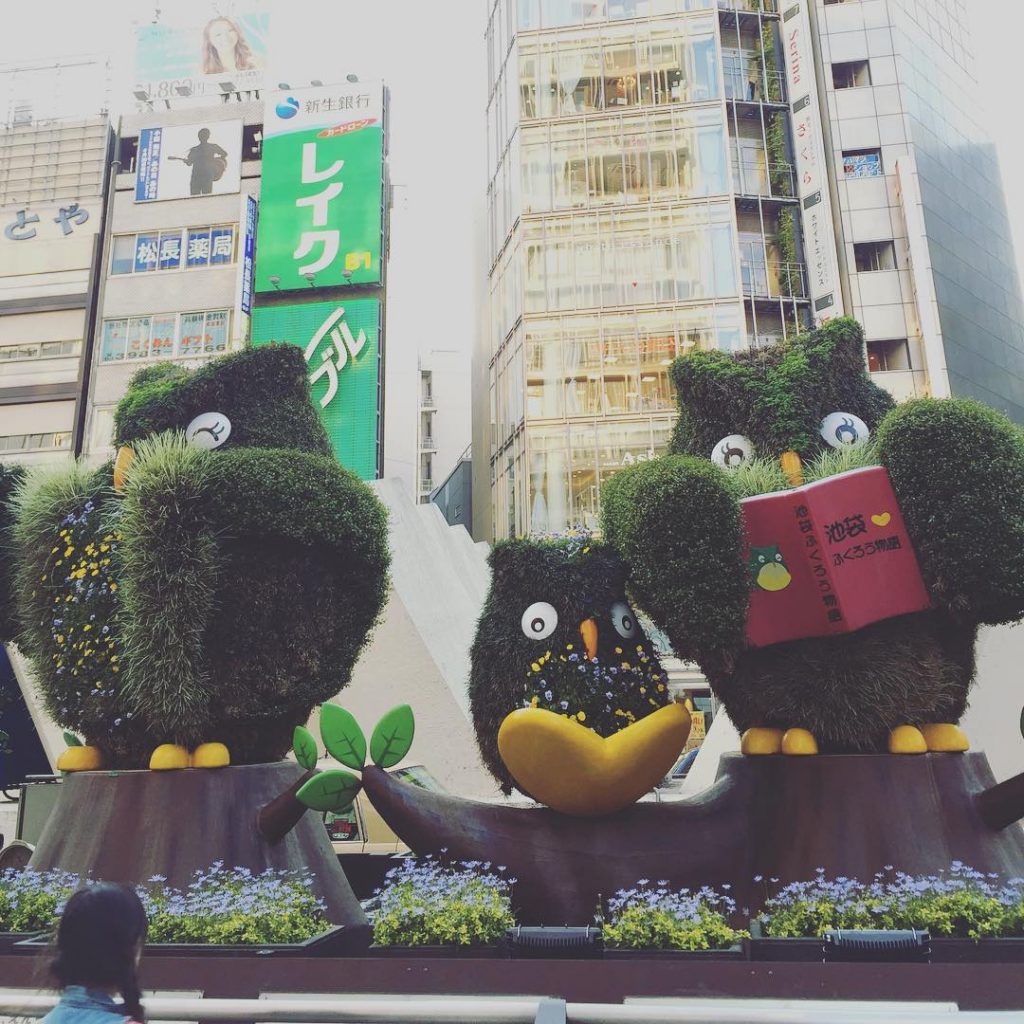 12 Japanese Instagram Accounts to Follow
