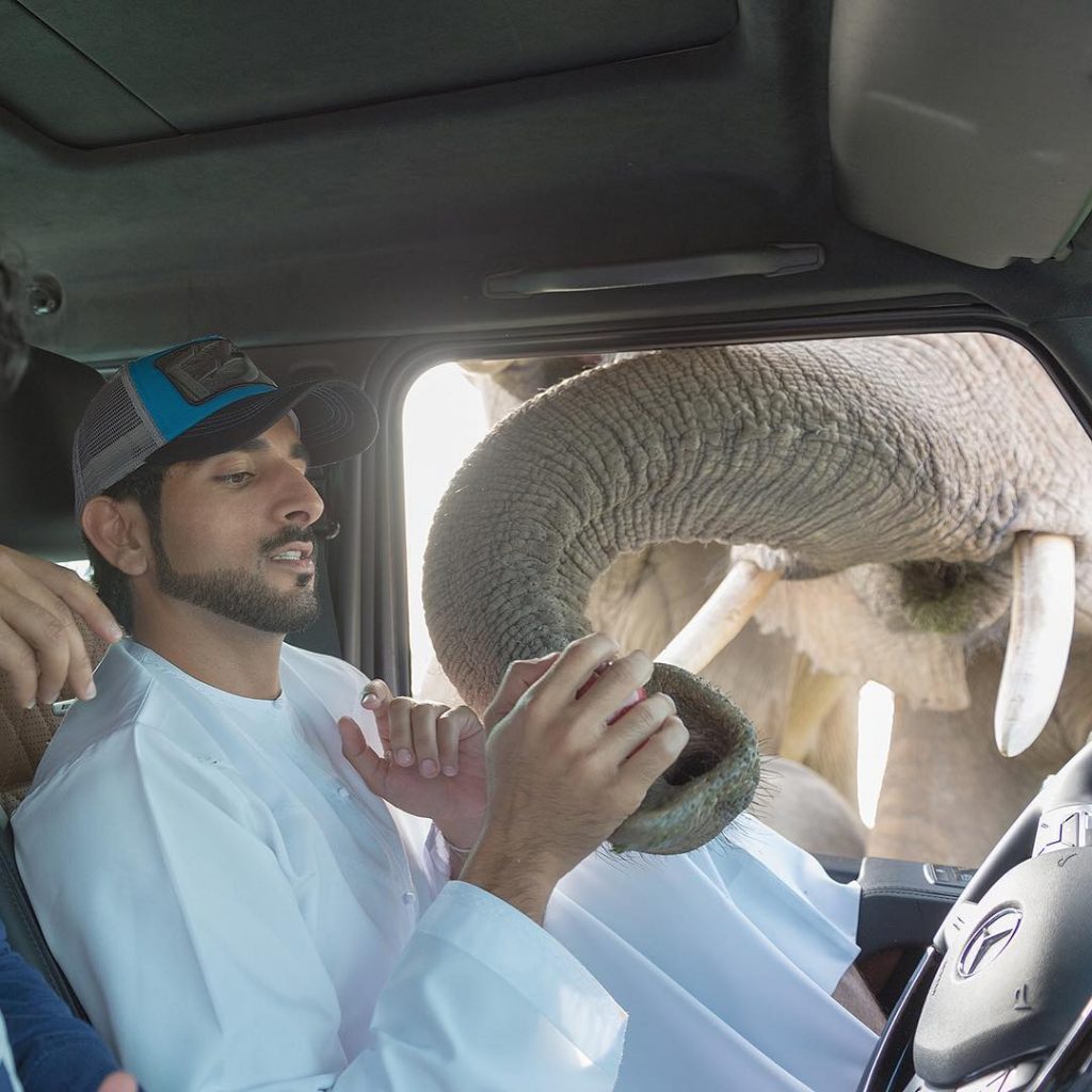 Meet the Real-Life “Aladdin” – Crown Prince of Dubai, Sheikh Hamdan