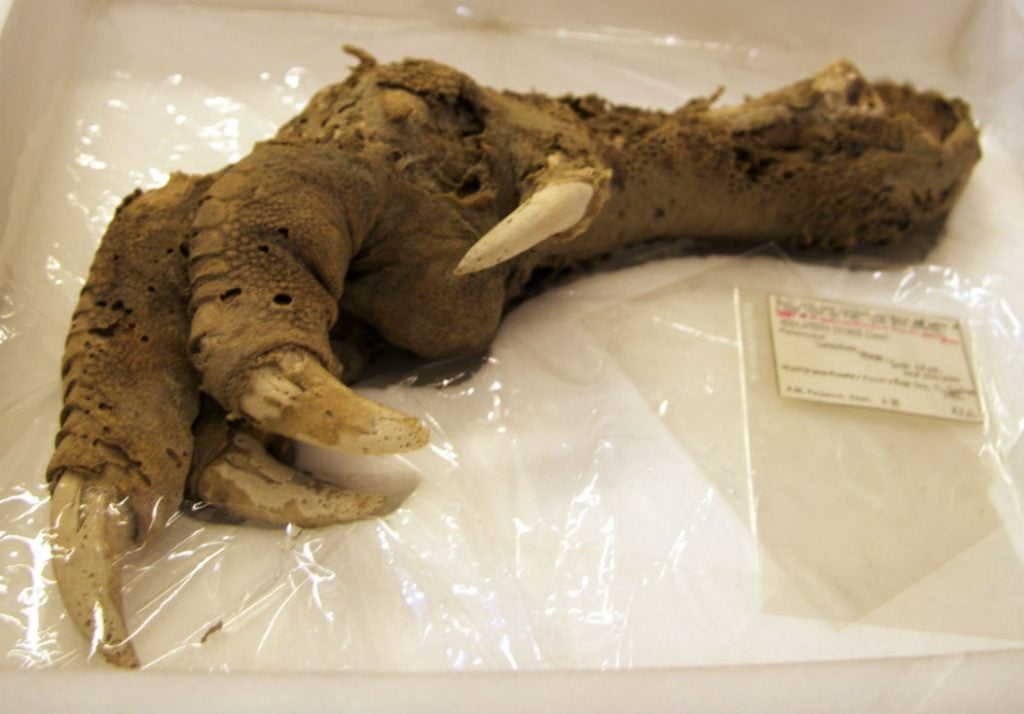 7 Mysterious Discoveries That Left Even Archaeologists Baffled