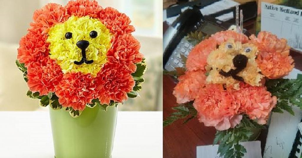 18 Biggest Online Shopping FAILS