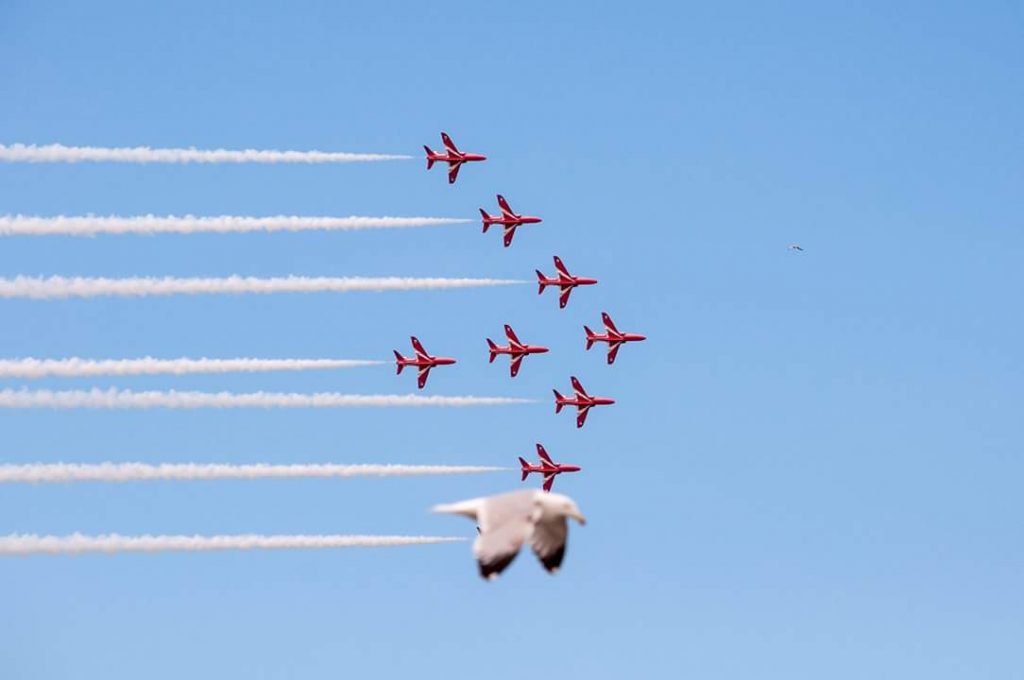 30 Photos Taken at Just the Right Angle