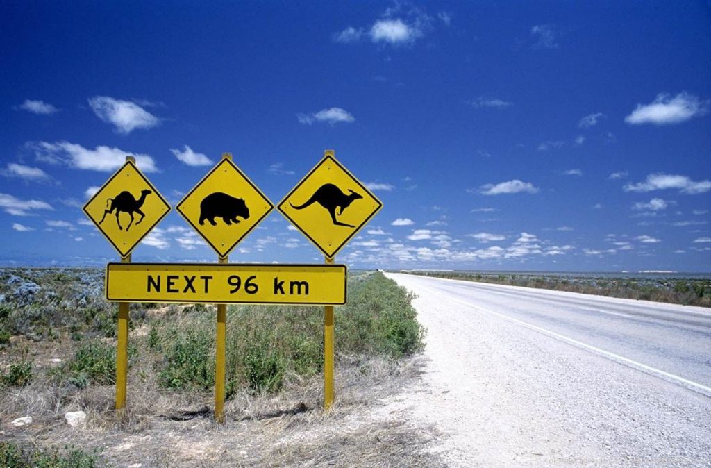 6 Mind-Boggling Mistakes That Have Changed the Course of History