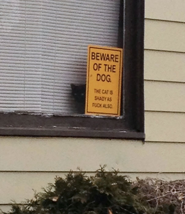 beware-of-the-dog-01