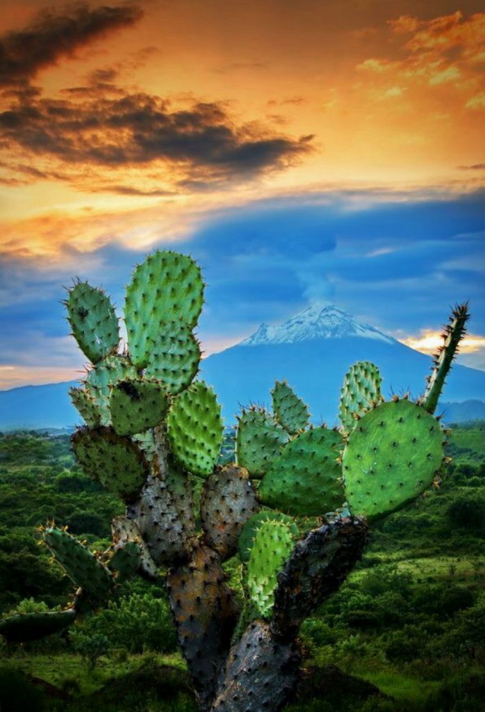 10 Things No One Knows About Mexico