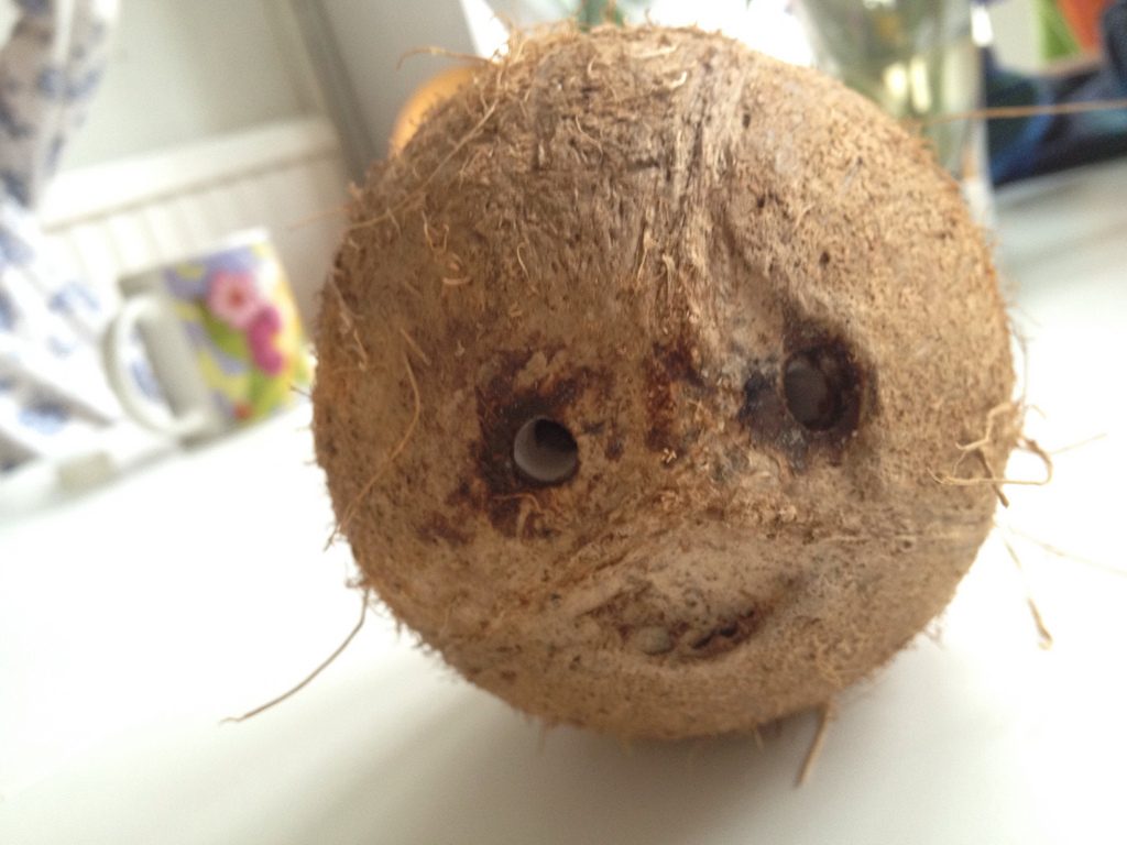 15 Crazy Facts That Will Make You Say ‘No Way!’