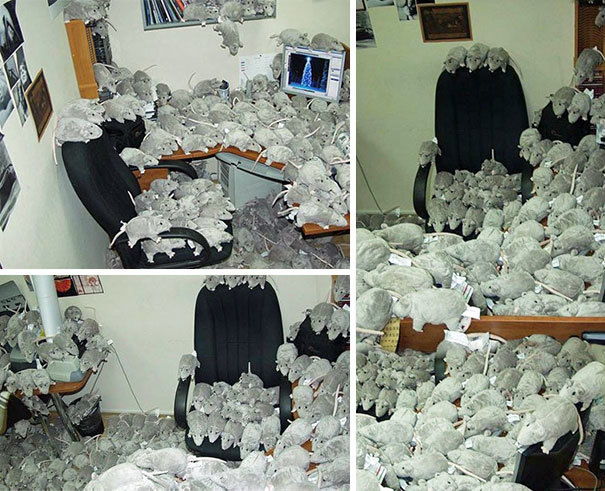 30+ Hilarious Office Pranks