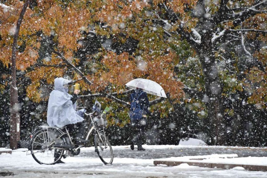 First November Snow In Tokyo Since 1962, And It Looks Fabulous!