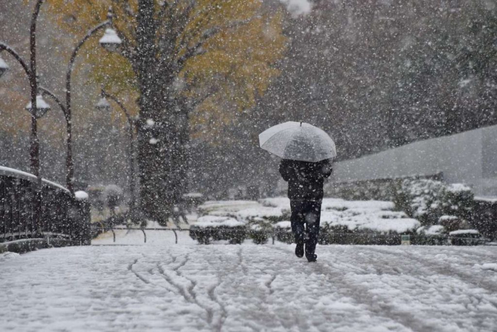 First November Snow In Tokyo Since 1962, And It Looks Fabulous!