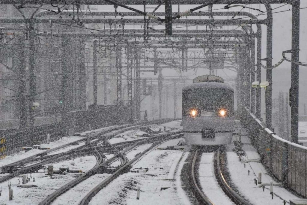 First November Snow In Tokyo Since 1962, And It Looks Fabulous!