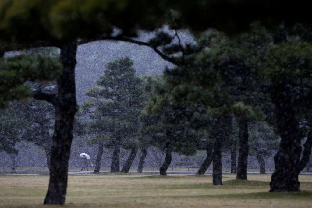First November Snow In Tokyo Since 1962, And It Looks Fabulous!
