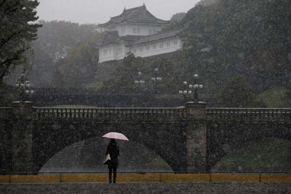 First November Snow In Tokyo Since 1962, And It Looks Fabulous!