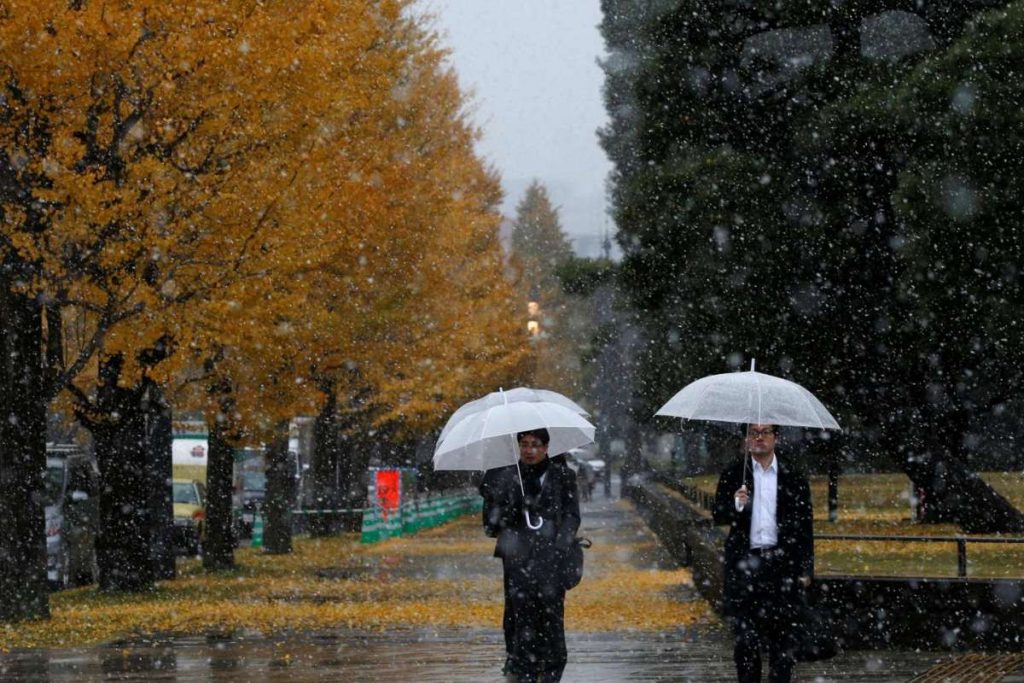 First November Snow In Tokyo Since 1962, And It Looks Fabulous!