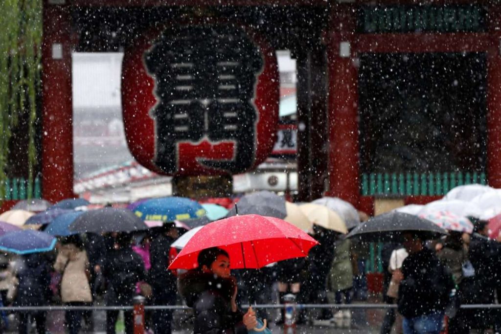 First November Snow In Tokyo Since 1962, And It Looks Fabulous!