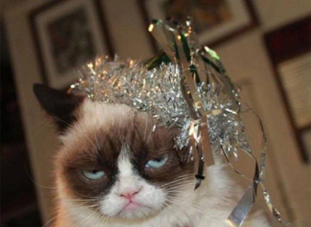 15 Poor Animals That Had Too Much To Drink Last Night