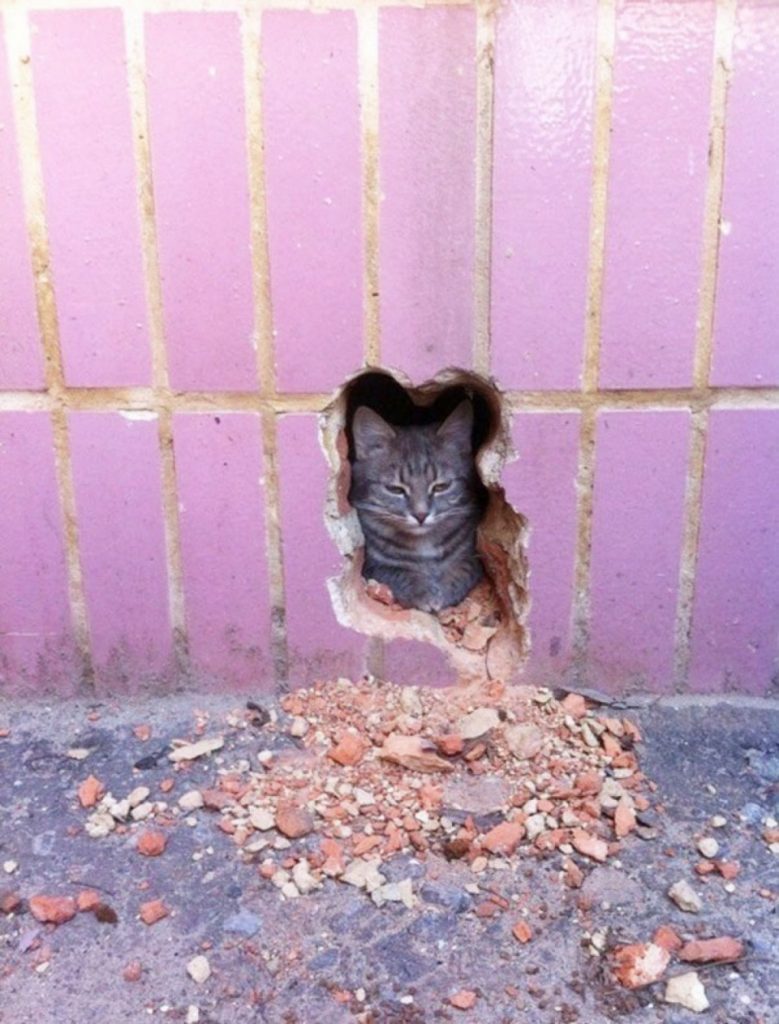 40 Ridiculously Satisfying Pictures That Will Soothe Your Soul