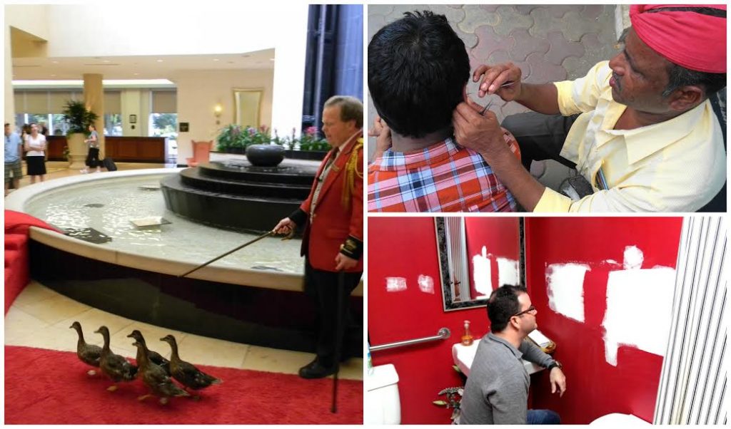 Top 10 of the Strangest Jobs on Earth