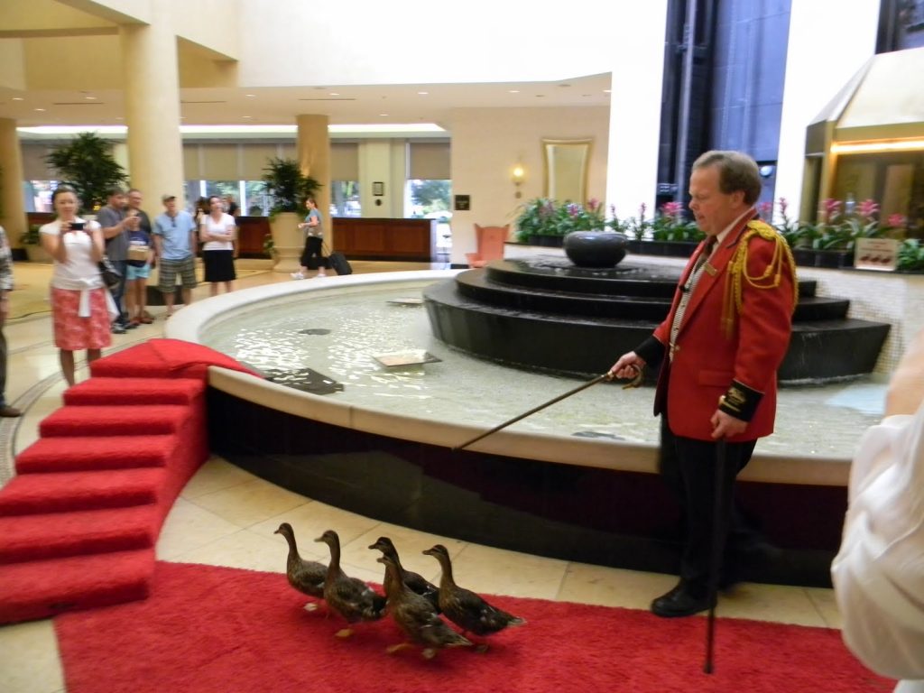 Top 10 of the Strangest Jobs on Earth