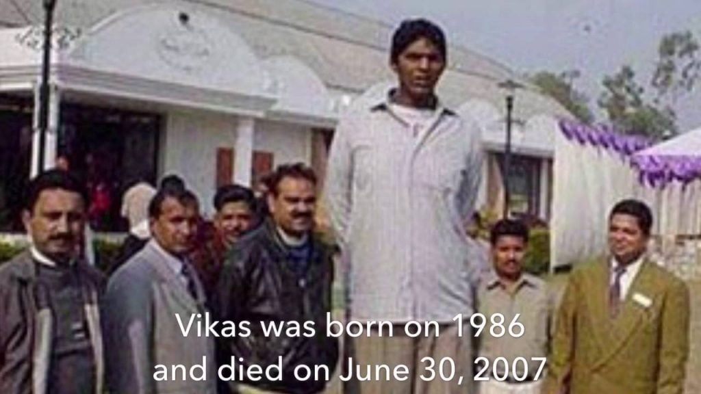 10 Real Life Giants You Won’t Believe Exist
