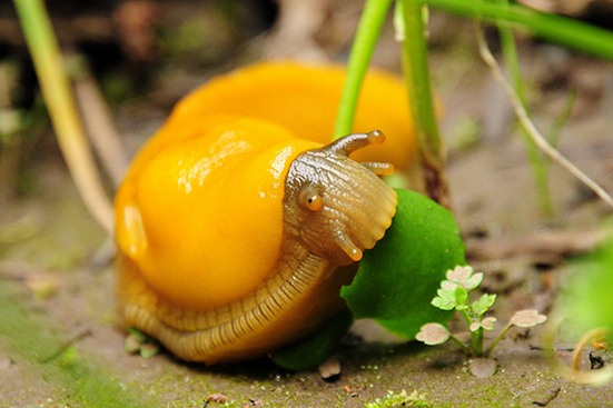The 20 Strangest Facts You Wish Weren’t Real