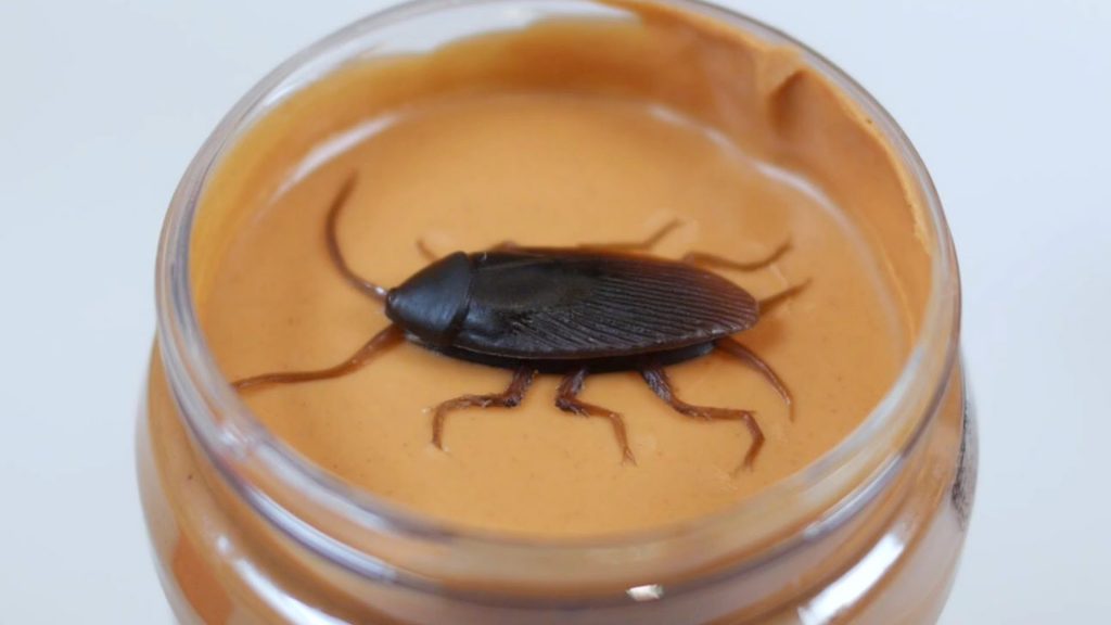 The 20 Strangest Facts You Wish Weren’t Real