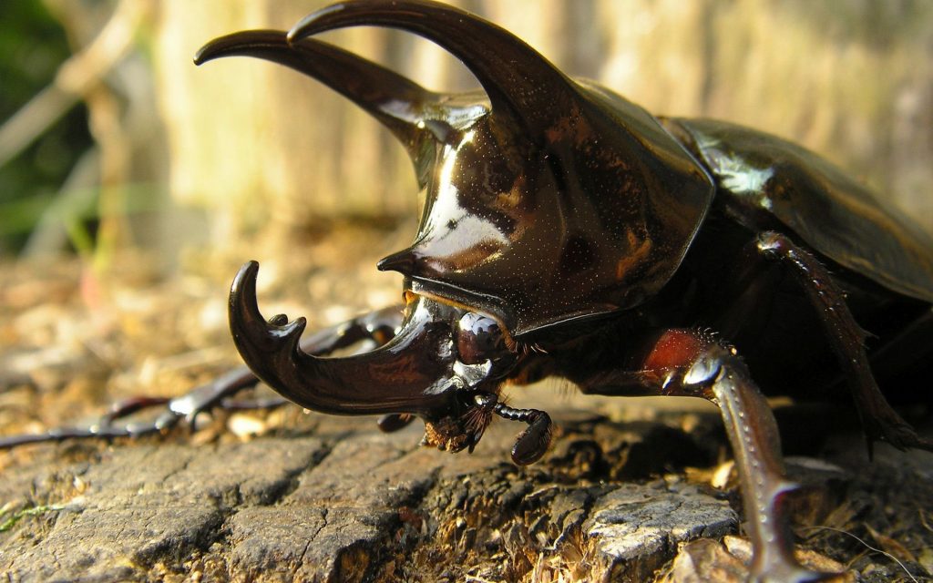 The 20 Strangest Facts You Wish Weren’t Real