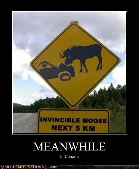 24 Crazy Funny Road Signs