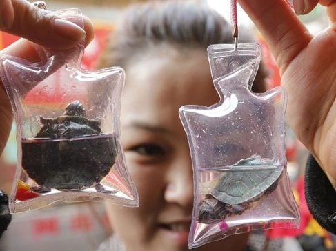 9 Weirdest Things You Can Buy In China