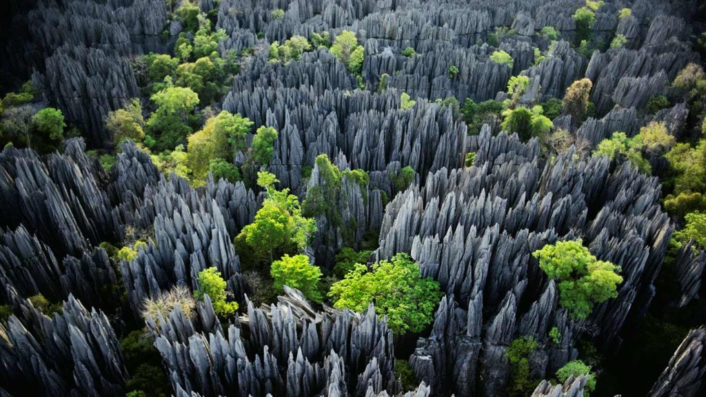 19 Stupefying Natural Wonders You Can Find Right Outside your Window