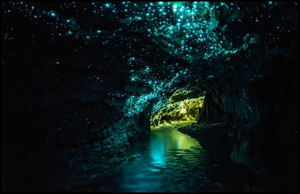 19 Stupefying Natural Wonders You Can Find Right Outside your Window