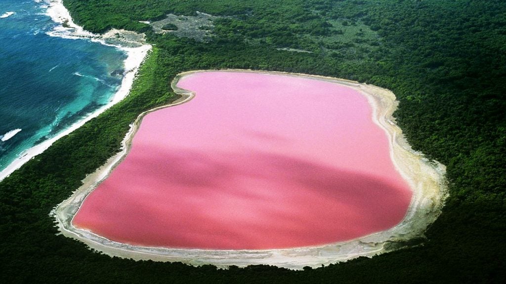 19 Stupefying Natural Wonders You Can Find Right Outside your Window