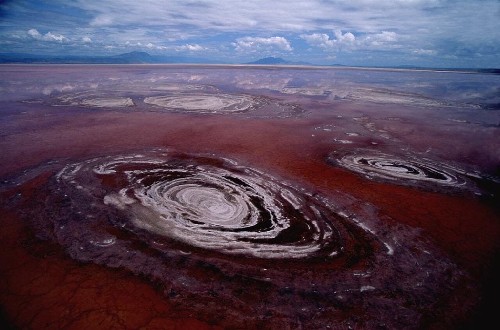19 Stupefying Natural Wonders You Can Find Right Outside your Window