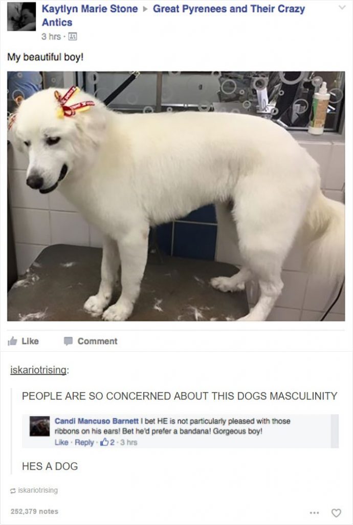 25 Examples of Hilariously Fragile Masculinity