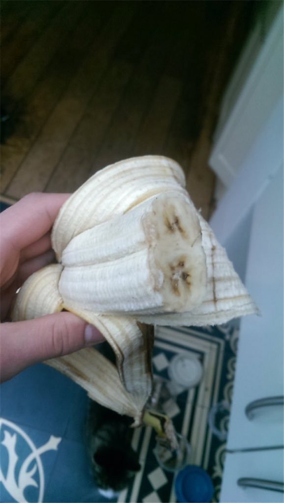 30 Freakishly Weird Foods You Can Find at Your Local Market