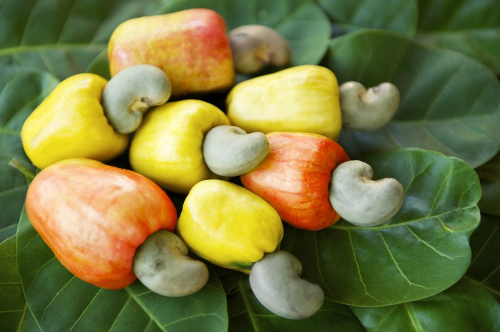 Top 10 Deadliest Everyday Foods