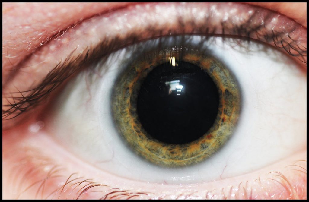 15 Mind-Blowing Scientific Facts