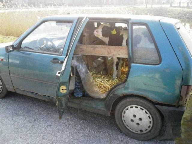 Simple Problems – Simple Solutions (23 Pics)