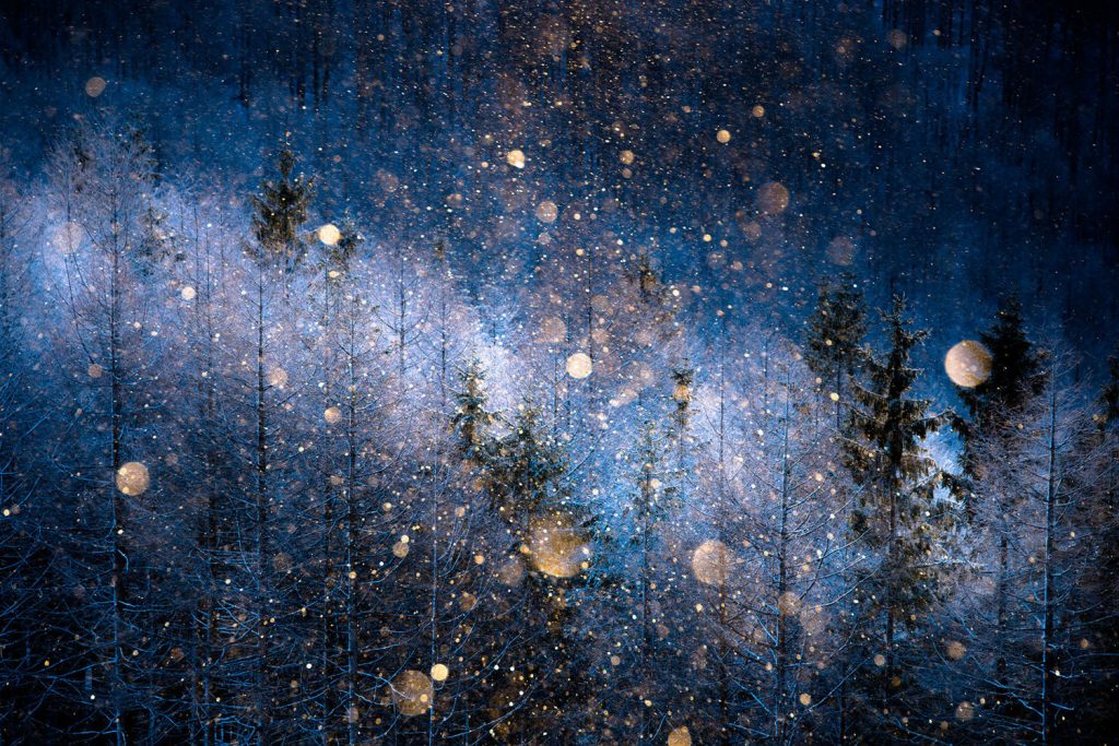 The 2017 Sony World Photography Awards Shortlist Has Some Amazing Pictures In It