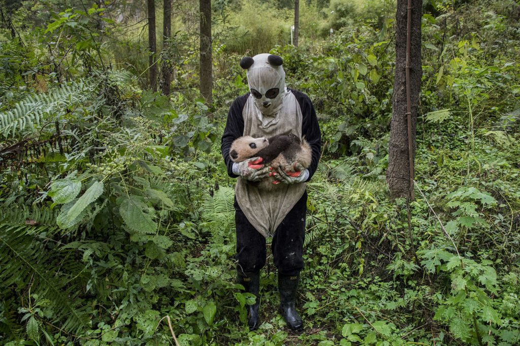 The 2017 Sony World Photography Awards Shortlist Has Some Amazing Pictures In It