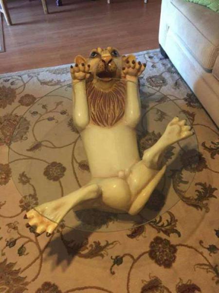 22 Of The Weirdest Thrift Store Items