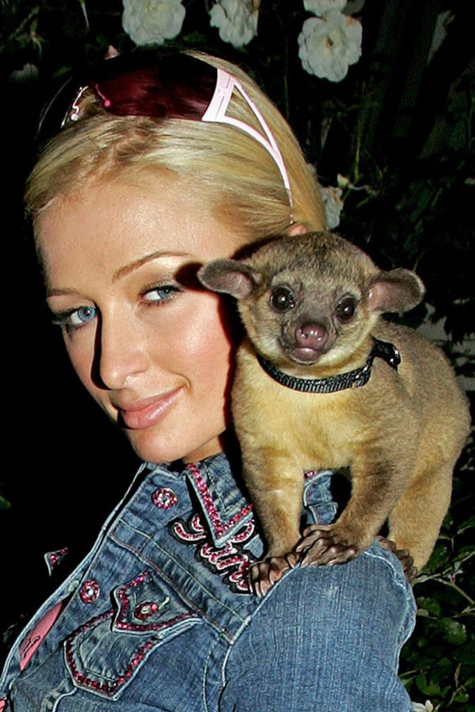 Top 10 Most Unusual Celebrity Pets We’ve Ever Seen
