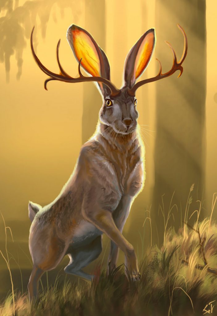 8 Animals People Actually Believed Are Real
