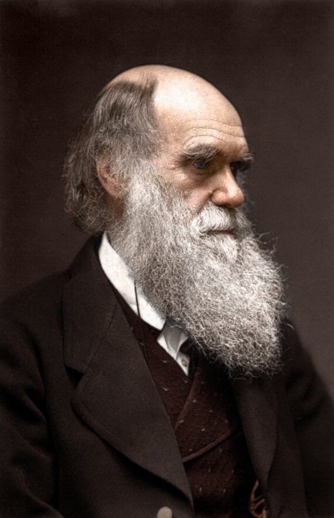 29 Colorized Photos From The Past That Will Blow You Away