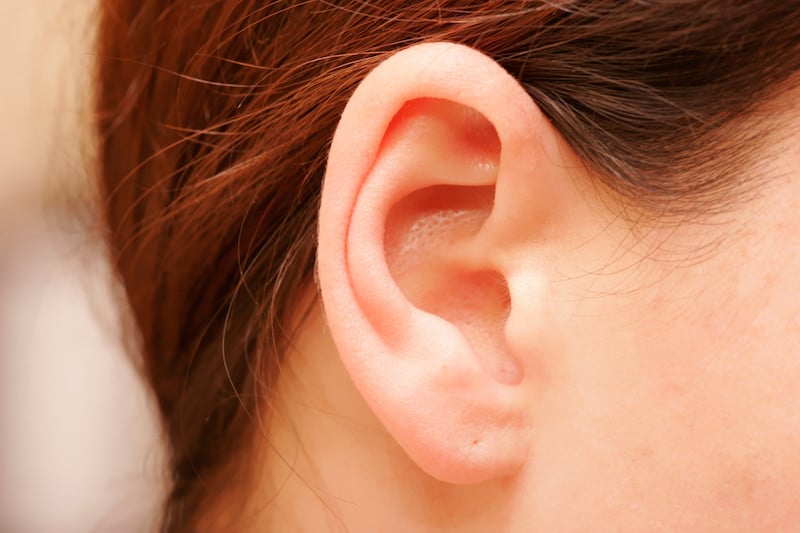 9 Body Parts Whose Importance Is Often Underestimated