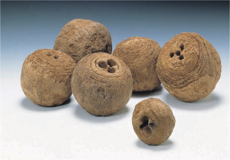 8 Bizarre Historical Objects Reveal Their Secrets