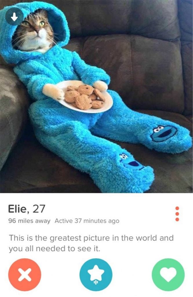 21 Tinder Profiles That Are Pure Gold
