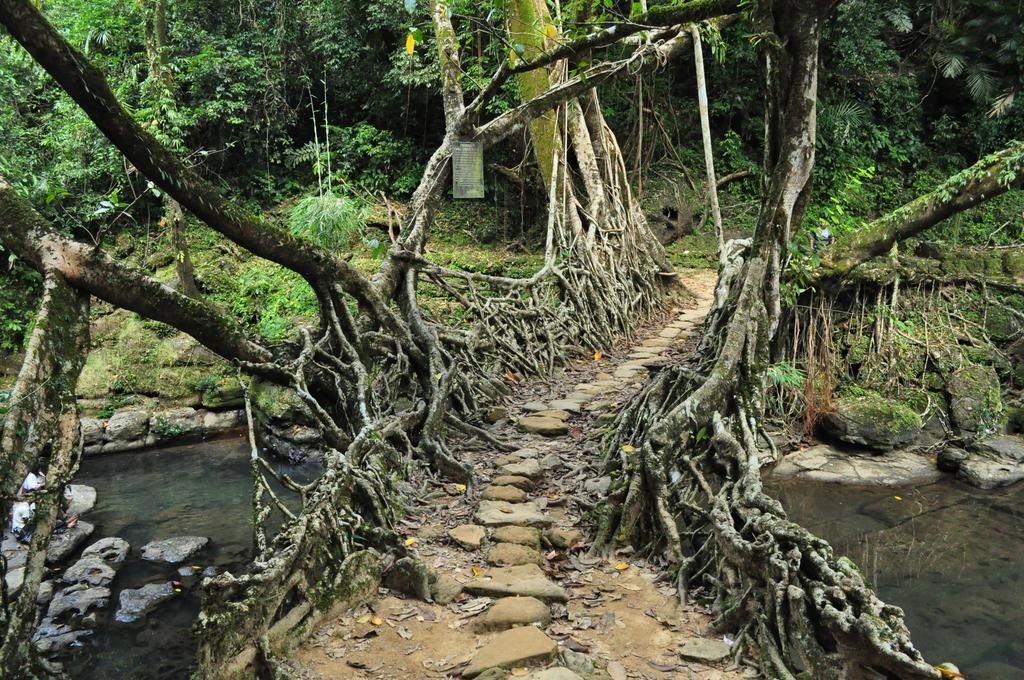 The 9 Most Intriguing Bridge Designs