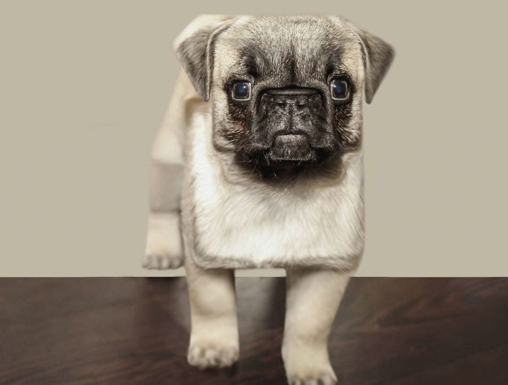 Genius Artists Turns Real-Life Animals Into Minecraftean Freaks